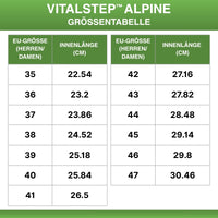VitalStep™ Alpine - Bergerprobte Wärme für Winterwege (BOGO)